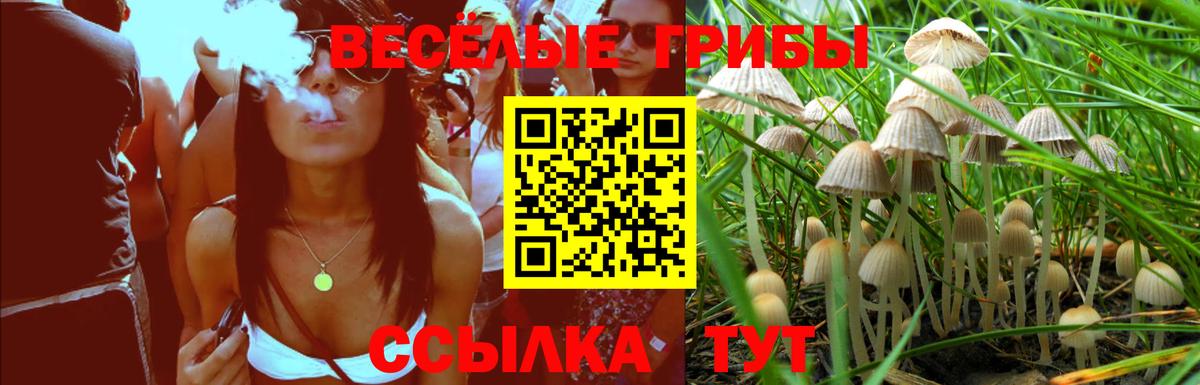 Галлюциногенные грибы Psilocybine cubensis  Галлюциногенные грибы MAGIC MUSHROOMS  Вход с VPN  Шахты 